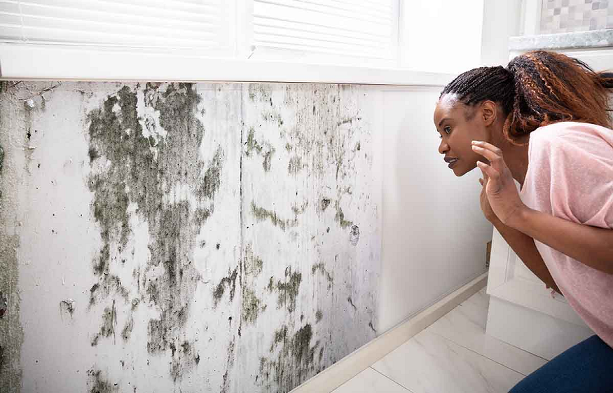 Mold in Your Home