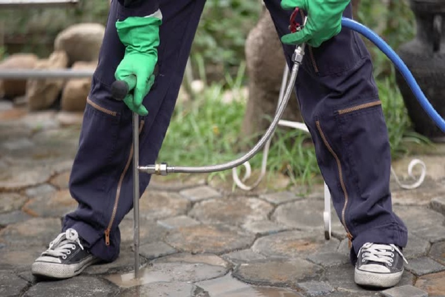 Pest Control Company in Arlington