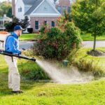 Quick Tips to Reduce Mosquitoes and Improve Outdoor Comfort in Manchester